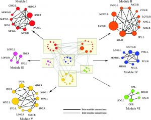Modular architecture of the human cortical network. Six modules of human cortical network displayed in groups. Red: module I, orange: module II, pink: module III, blue: module IV, yellow: module V, green: module VI. The intermodular connections and intramodular connections of the network are shown in dark and gray lines, respectively.